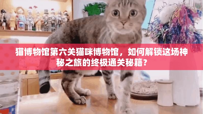 猫博物馆第六关猫咪博物馆，如何解锁这场神秘之旅的终极通关秘籍？