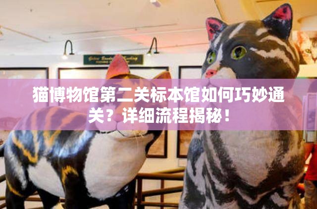 猫博物馆第二关标本馆如何巧妙通关？详细流程揭秘！