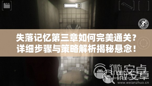 失落记忆第三章如何完美通关？详细步骤与策略解析揭秘悬念！