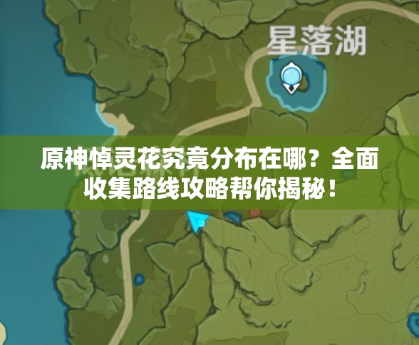原神悼灵花究竟分布在哪？全面收集路线攻略帮你揭秘！
