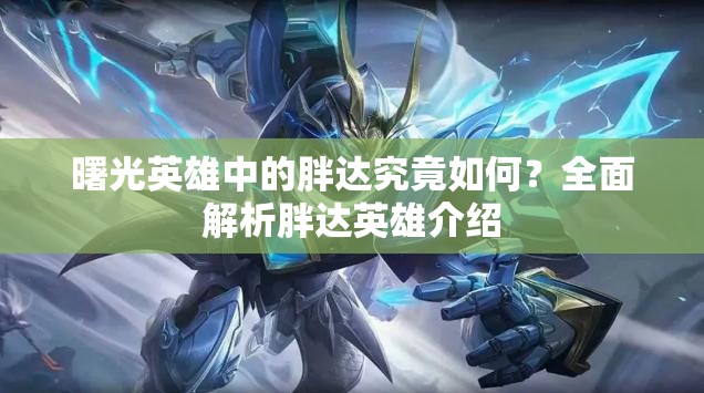 曙光英雄中的胖达究竟如何？全面解析胖达英雄介绍