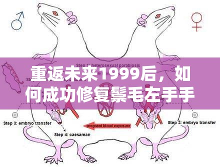 重返未来1999后，如何成功修复鬃毛左手手腕关节的疑难攻略？