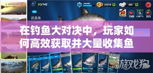 在钓鱼大对决中，玩家如何高效获取并大量收集鱼饵的秘诀是什么？