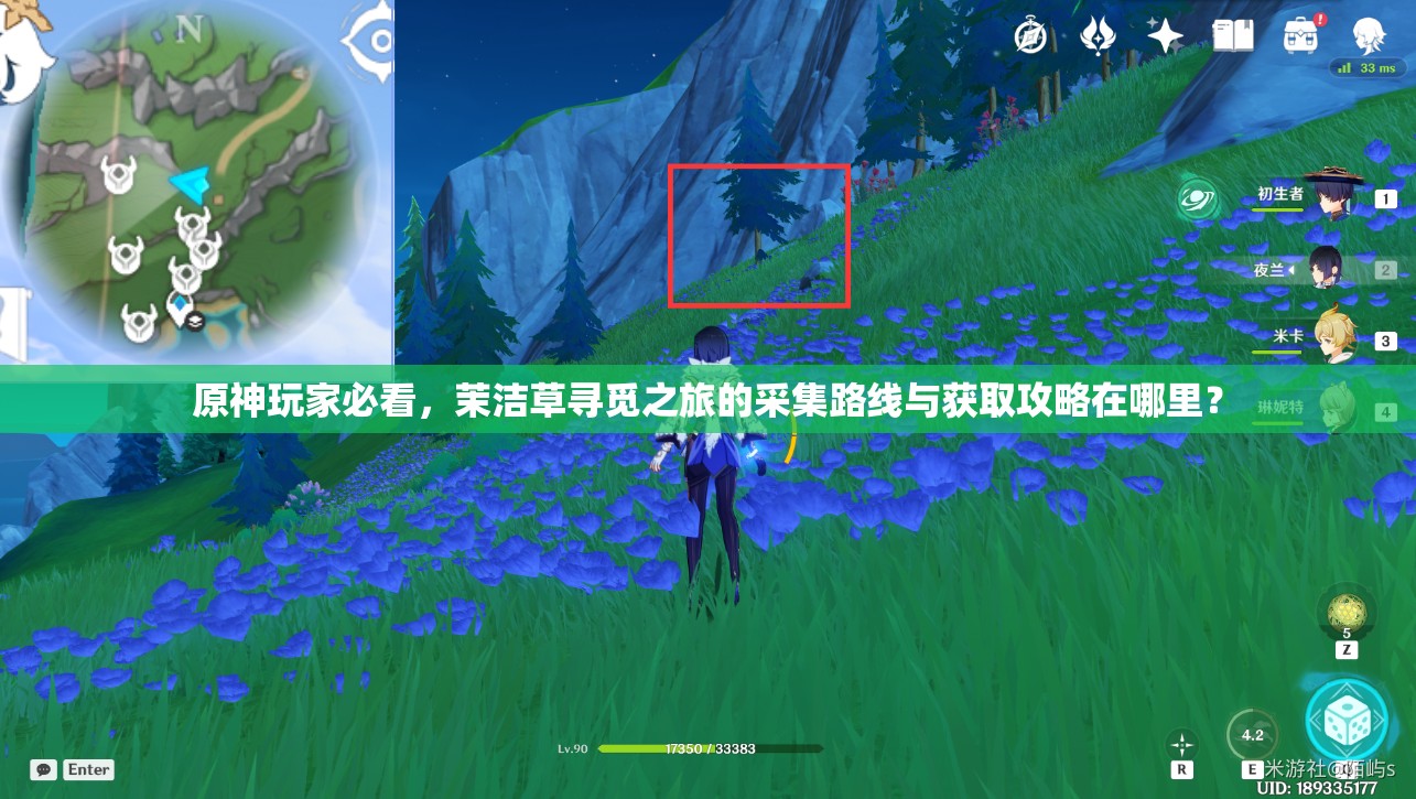 原神玩家必看，茉洁草寻觅之旅的采集路线与获取攻略在哪里？
