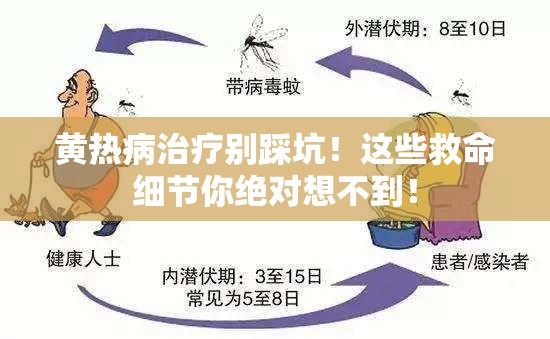 黄热病治疗别踩坑！这些救命细节你绝对想不到！
