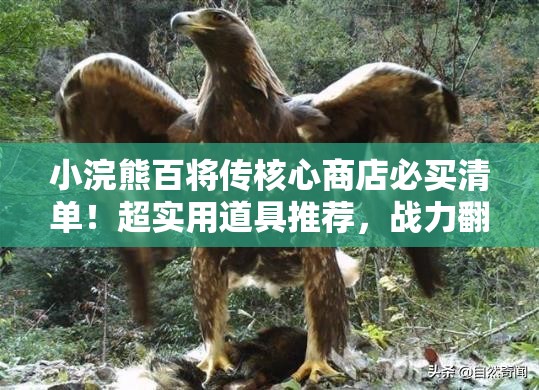 小浣熊百将传核心商店必买清单！超实用道具推荐，战力翻倍就靠它！